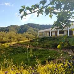 Portugiesisches Bauernhaus - traumhafte Natur, Ruhe und Erholung an der Algarve