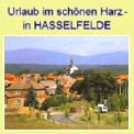 Harz-Urlaub - in 3-Sterne Bungalow und Ferienwohnung - in Hasselfelde