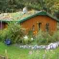 Ferienhaus mit 2 sep. Wohnungen - Hemsbnde-Worth - Rotenburg-Wmme