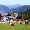 Urlaub am Biobauernhof Grillschmied - in der Urlaubsregion Murau