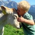 Kinderbauernhof in der Dachstein-Tauern Region - Rohrmoos-Schladming