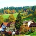 Hotel Gasthof "Zur Krone" - ab in die Natur - Gammelsbach - Odenwald